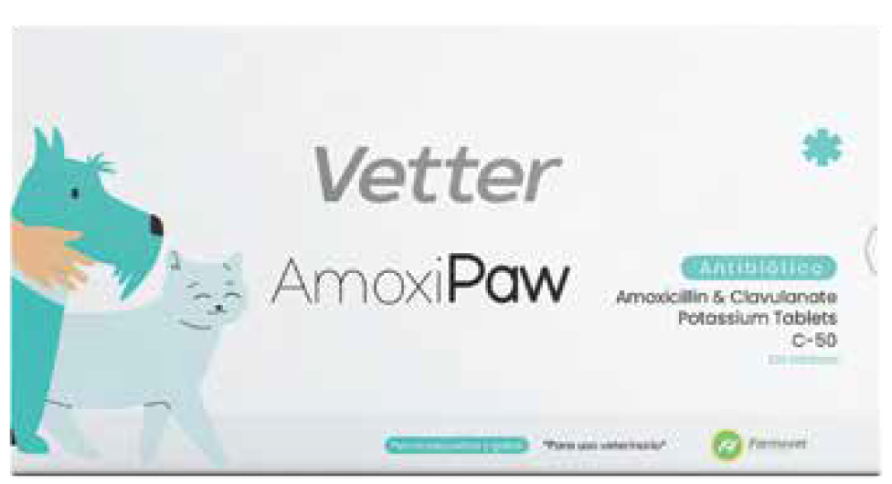 web-vetter-035