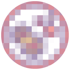 web-vetter-036
